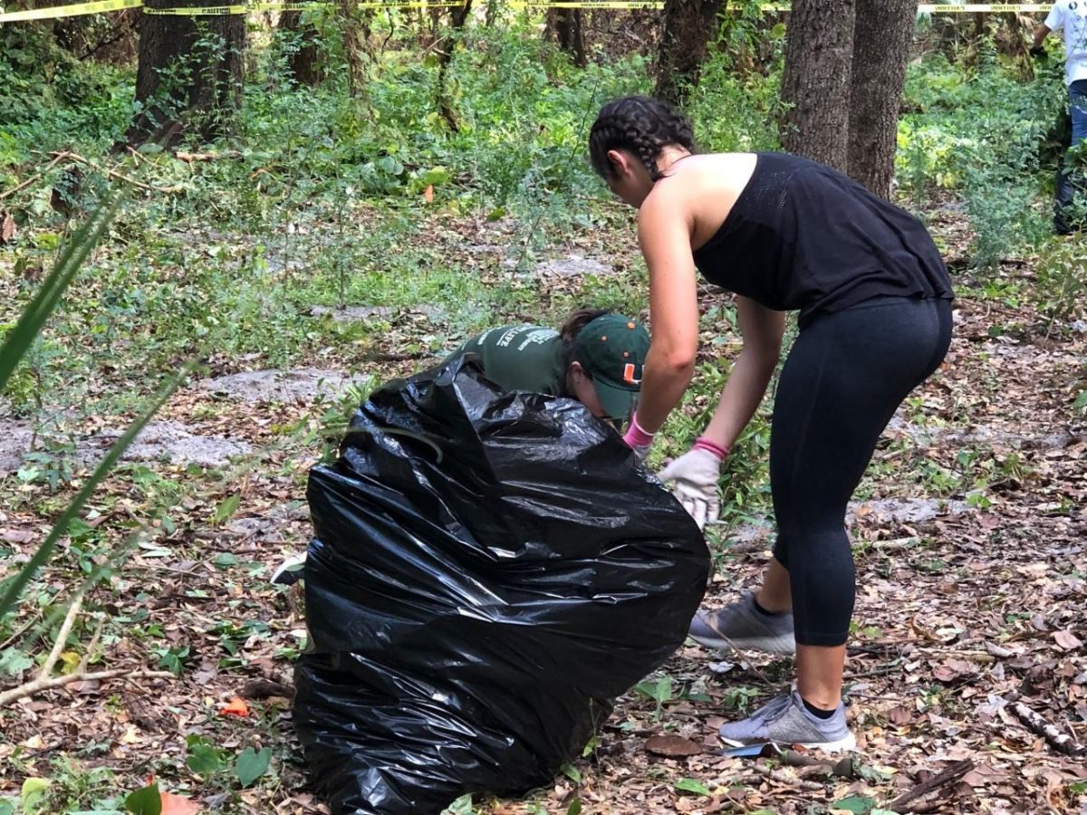 Students help restore Kendall Indian Hammocks park on Gandhi Day The