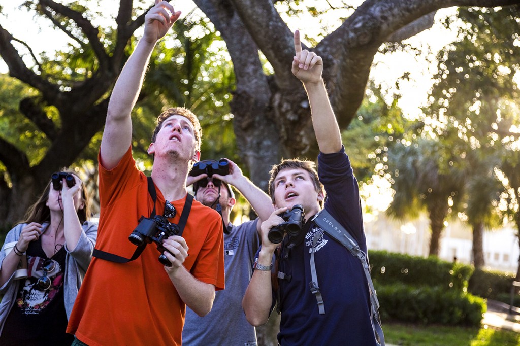 Junior Rebecca Eager, Junior Eric Friedman, Senior Evan Maisel, and Junior Levi Propst, who is the President and Co-Founder of the UM Amateur Ornithological Society, survey the UM campus for birds durning their bi-weekly walk on Wednesday afternoon. Nick Gangemi // Assistant Photo Editor