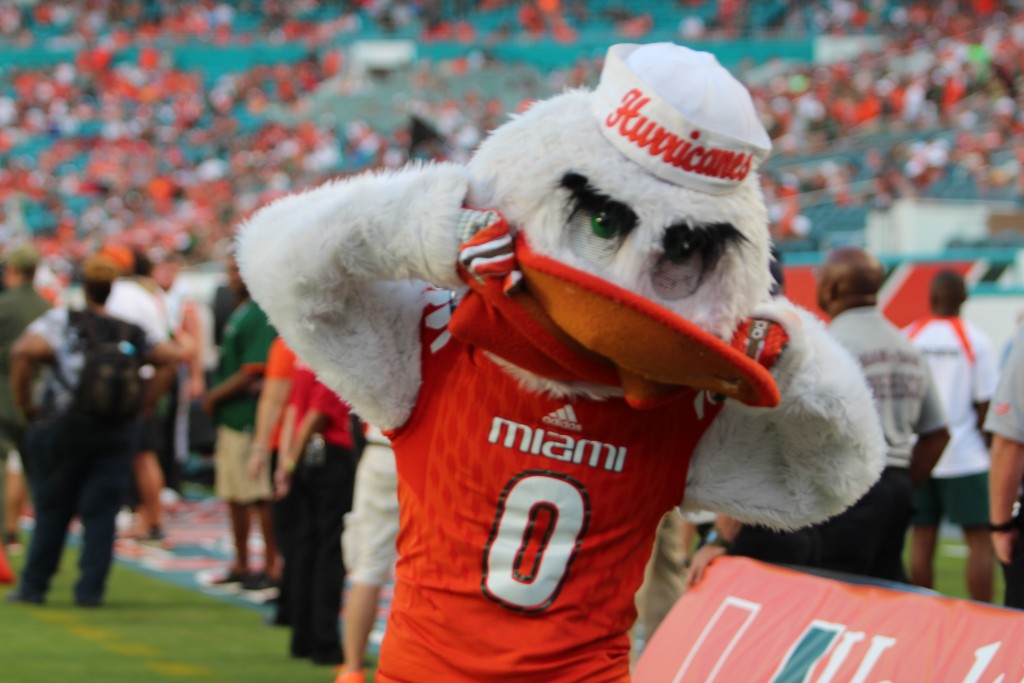 Sebastian puts on his game face while cheering on the Canes. Joshua Gruber // Contributing Photographer