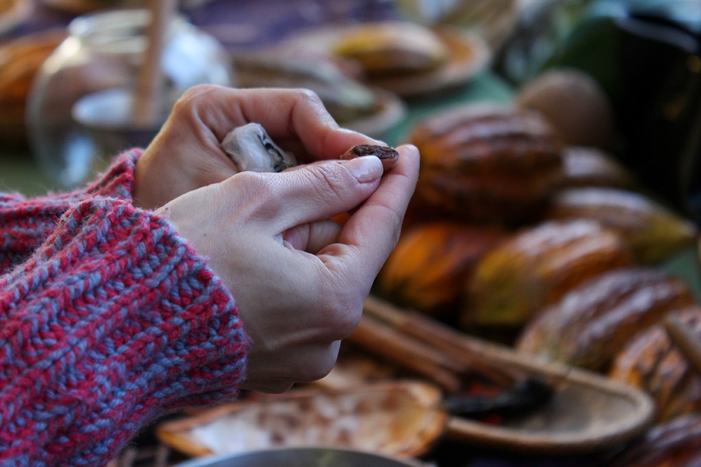 During a demonstration Saturday at the 10th Annual International Chocolate Festival, a Fairchild Tropical Gardens volunteer breaks open a cacao bean for attendees to view its composition. Hallee Meltzer // Photo Editor