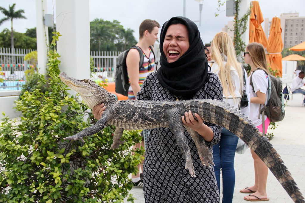 Junior Areeba Imam holds an alligator during Hurricane Production’s event Luau on the Wild Side Tuesday afternoon at the Lakeside Patio. Students had the chance to interact with animals such as snakes, birds, chinchillas, and skunks, and write messages in bottles while enjoying free smoothies. Hurricane Productions has several events coming up before spring break. On Friday, you can roll your own sushi at the Rathskeller from 5-7PM. This week HP also celebrates Oscars Week with an live Academy Awards watch party in the Shalala Student Center Ballrooms on Sunday starting at 7:30 PM. Erum Kidwai // Staff Photographer 
