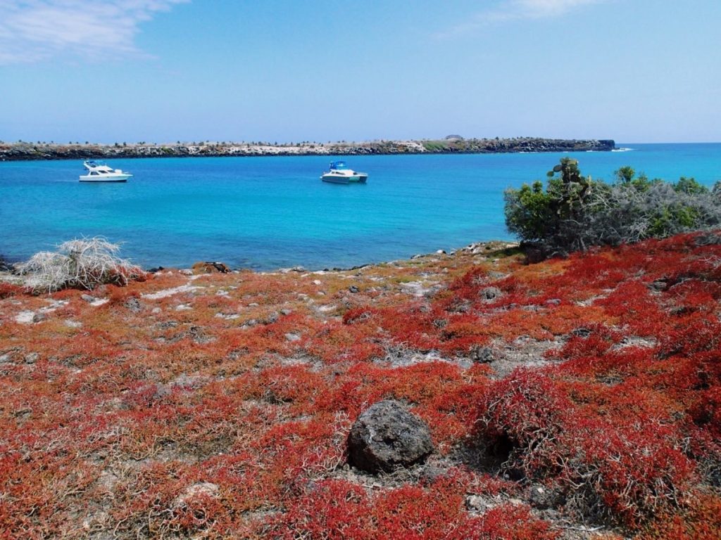 Students visited Santa Cruz Island, the main tourist destination in the Galapagos.