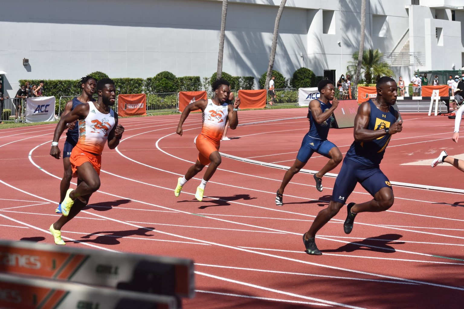 Canes find success in Gainesville despite deep competition The Miami