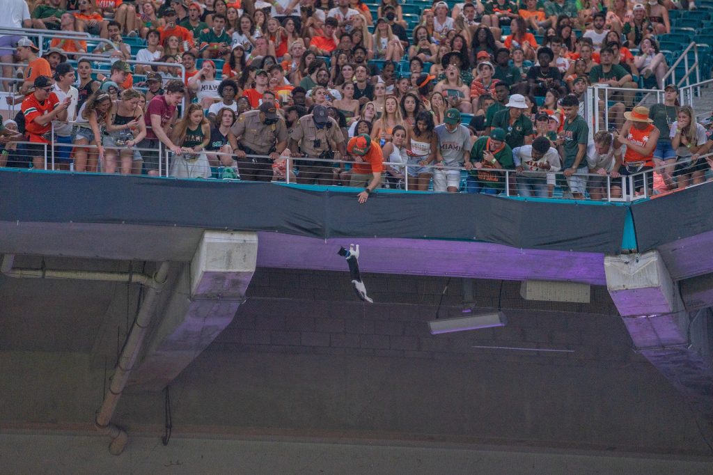 A cat clings on to a wire below the 300 level seats during the first half of Miami’s game versus Appalachian State at Hard Rock Stadium on Sept. 11, 2021.