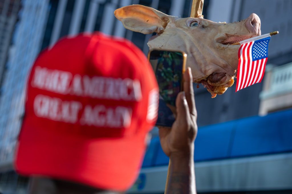 A Trump supporter takes a photograph of Trump critic Osmany Estrada’s severed pig’s head on a stake ahead of the former president’s indictment at the Wilkie D. Ferguson Jr. United States Courthouse on June 13, 2023. Estrada indicated that the pig’s head was a reference to George Orwell’s 1945 novel Animal Farm.