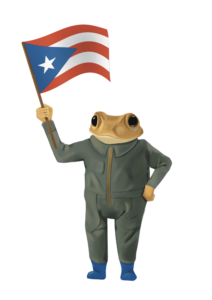 REVIEW: Bad Bunny spotlights Puerto Rican culture and Hardship with ...