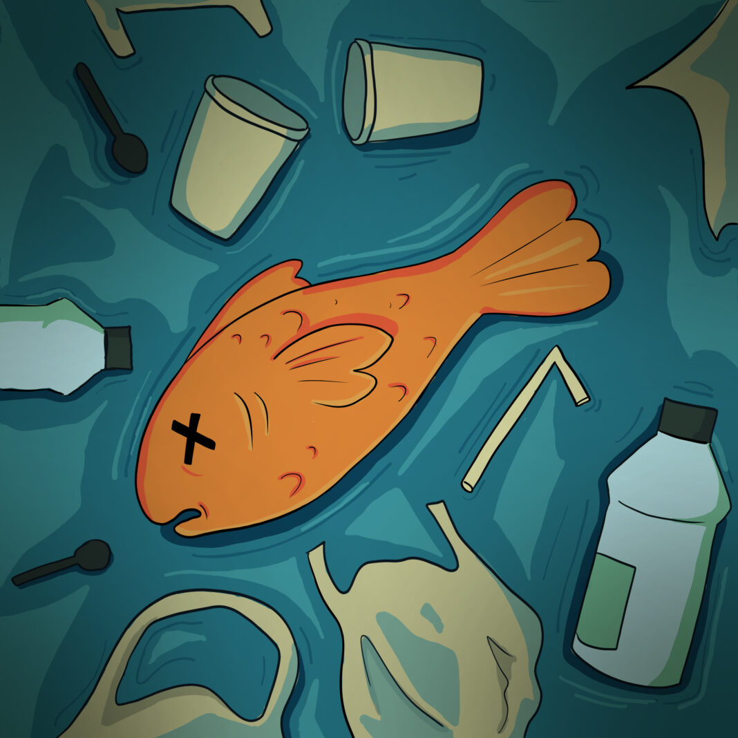 FreshwaterGRAPHIC_Faith Jimenez